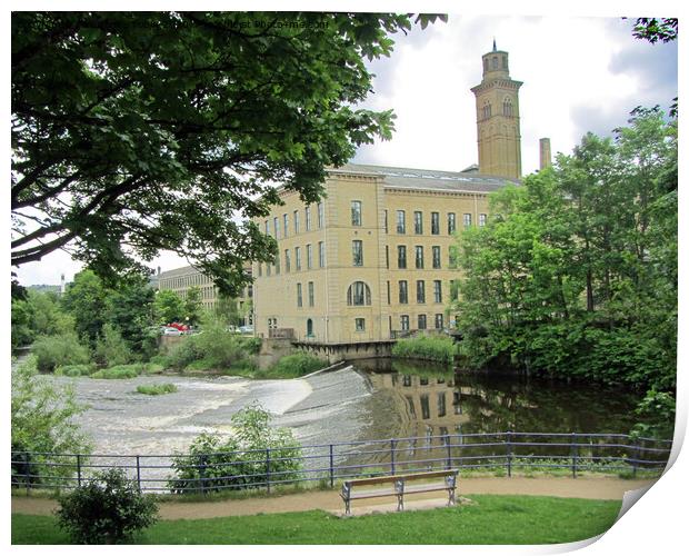 Shipley Weir, Saltaire, West Yorkshire Print by Laurence Tobin