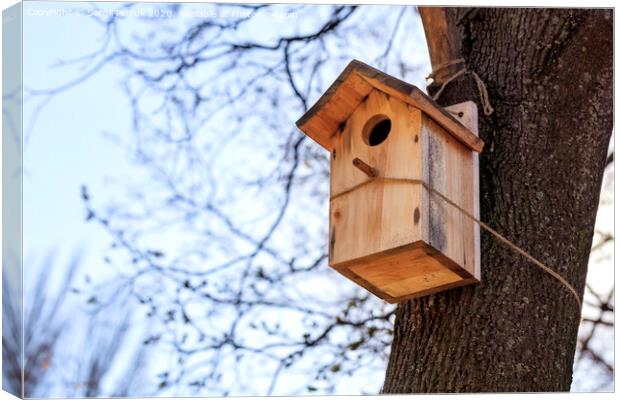 A new birdhouse is attached by a rope high on an oak tree in a spring park. Canvas Print by Sergii Petruk