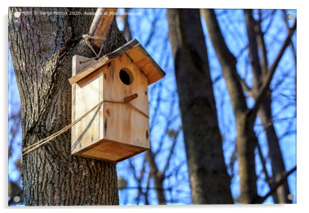 A new nesting box is attached with a rope high on a tree trunk in a spring park. Acrylic by Sergii Petruk
