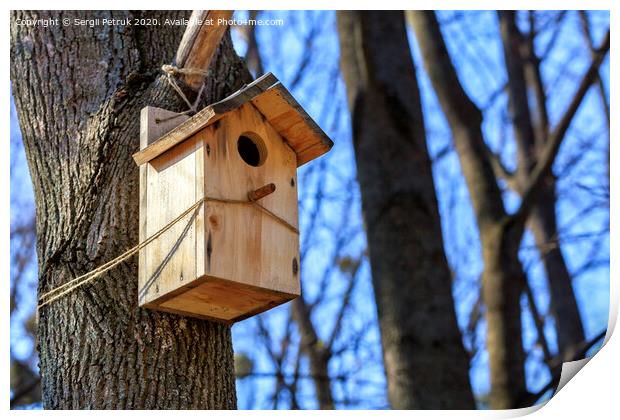 A new nesting box is attached with a rope high on a tree trunk in a spring park. Print by Sergii Petruk
