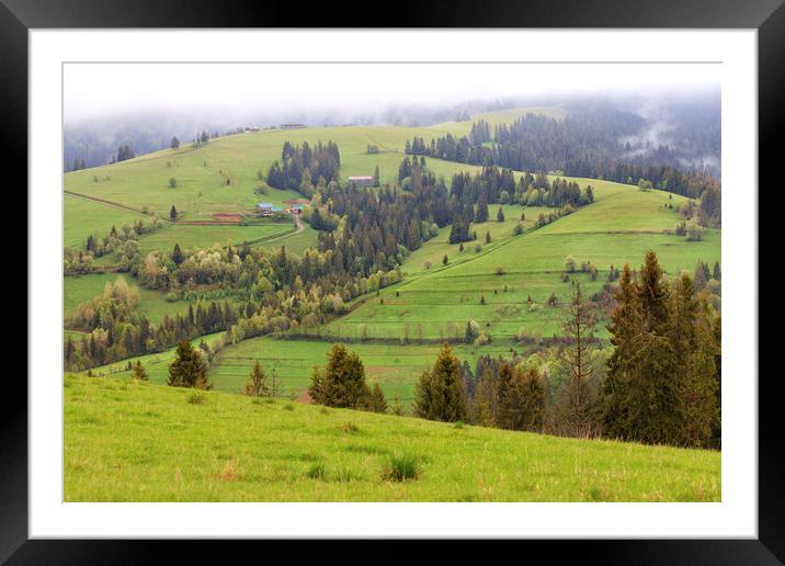 Beautiful landscapes of the Carpathian Mountains in the early morning and a dirt road running downhill. Framed Mounted Print by Sergii Petruk