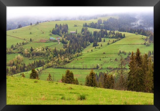 Beautiful landscapes of the Carpathian Mountains in the early morning and a dirt road running downhill. Framed Print by Sergii Petruk