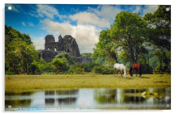 Ogmore Castle Acrylic by Paul James