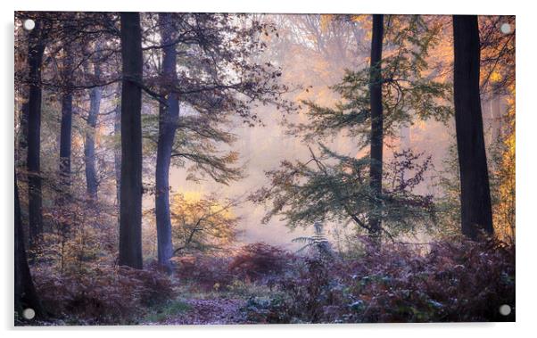 Misty autumn woodlands Acrylic by Ceri Jones