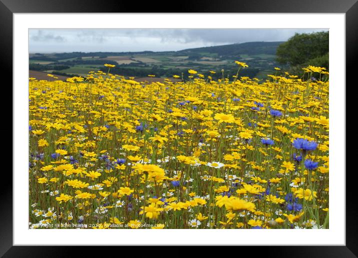 Wild flower meadow Framed Mounted Print by John Martin