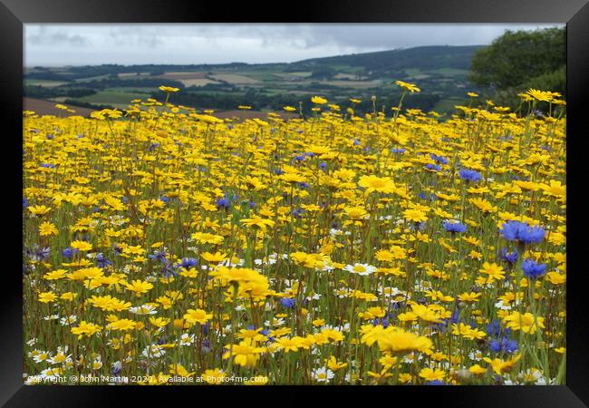 Wild flower meadow Framed Print by John Martin