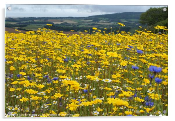 Wild flower meadow Acrylic by John Martin