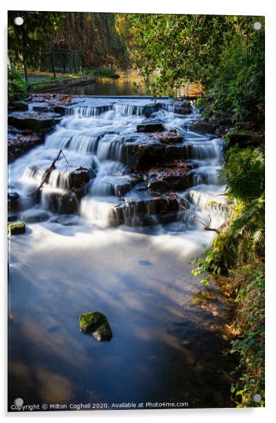 Carshalton Ponds Waterfall - Portrait Acrylic by Milton Cogheil