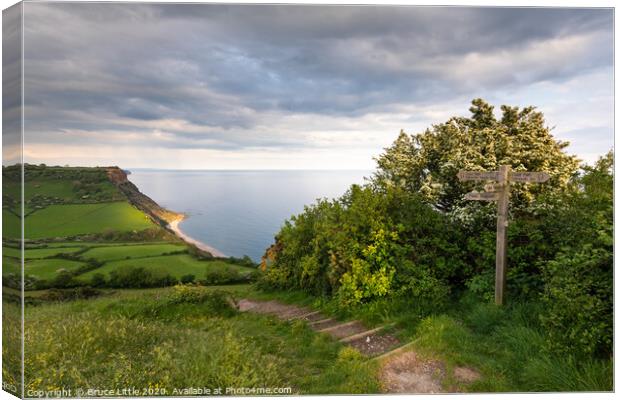 The coast path at Salcombe Hill, Devon Canvas Print by Bruce Little