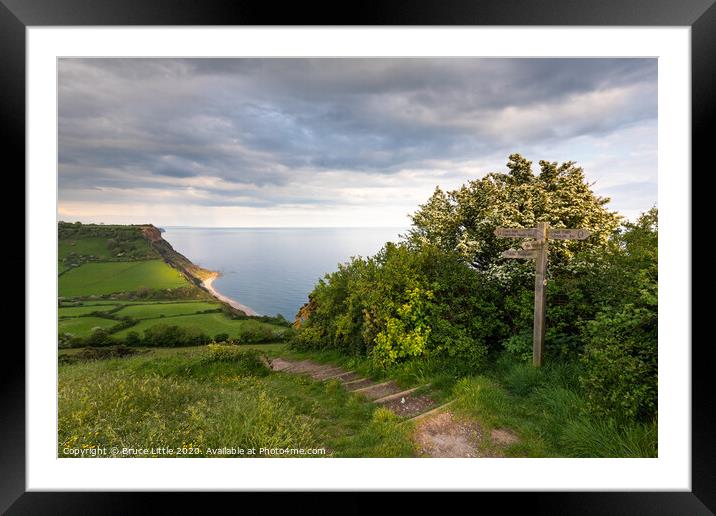 The coast path at Salcombe Hill, Devon Framed Mounted Print by Bruce Little