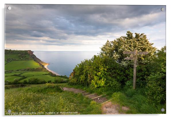 The coast path at Salcombe Hill, Devon Acrylic by Bruce Little