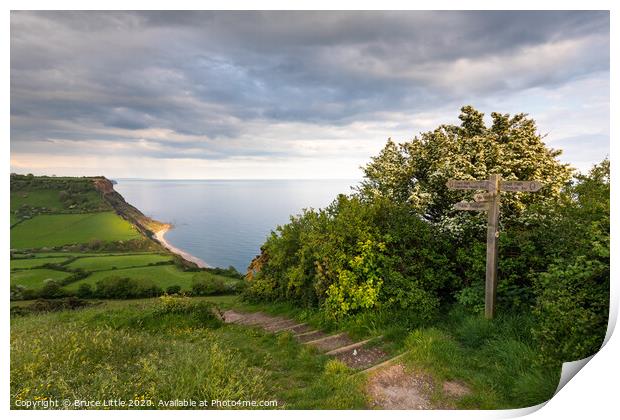 The coast path at Salcombe Hill, Devon Print by Bruce Little