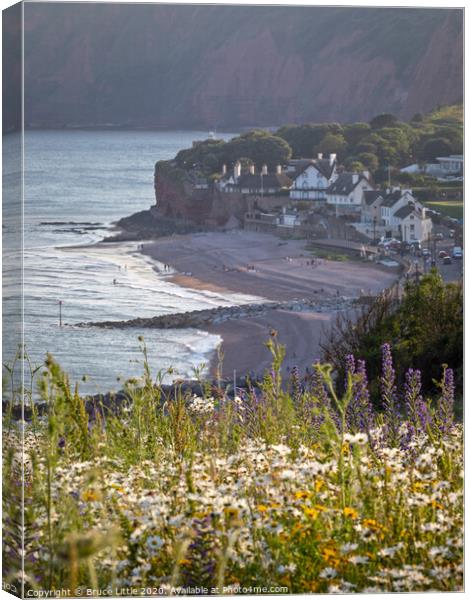 Sidmouth Summertime Canvas Print by Bruce Little
