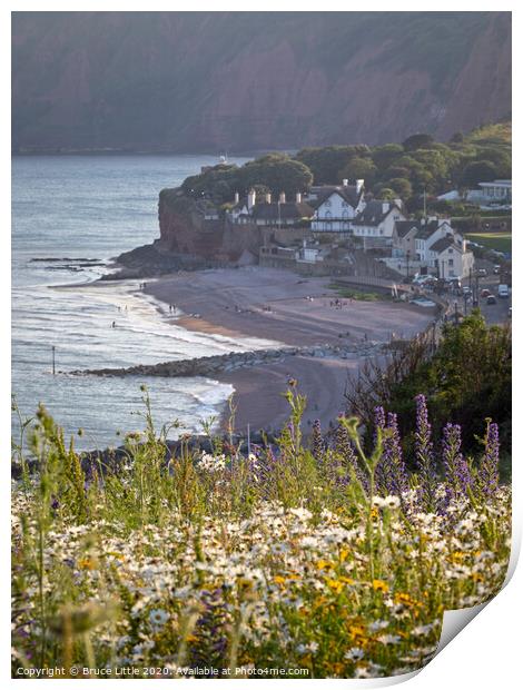 Sidmouth Summertime Print by Bruce Little