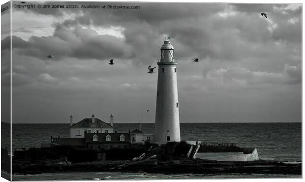Seagulls at St Mary's Canvas Print by Jim Jones