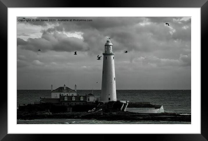 Seagulls at St Mary's Framed Mounted Print by Jim Jones