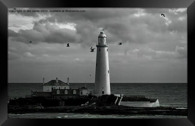 Seagulls at St Mary's Framed Print by Jim Jones
