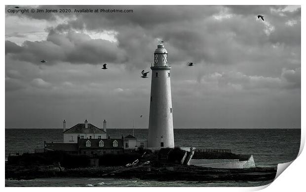 Seagulls at St Mary's Print by Jim Jones