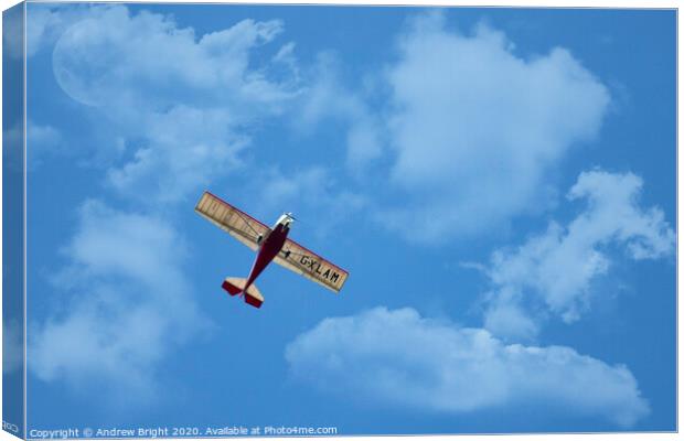 Fly Over Canvas Print by Andrew Bright