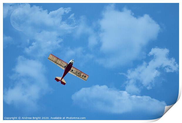 Fly Over Print by Andrew Bright