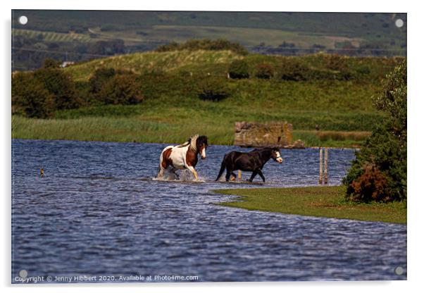 Horses leaving lake at Kenfig Acrylic by Jenny Hibbert