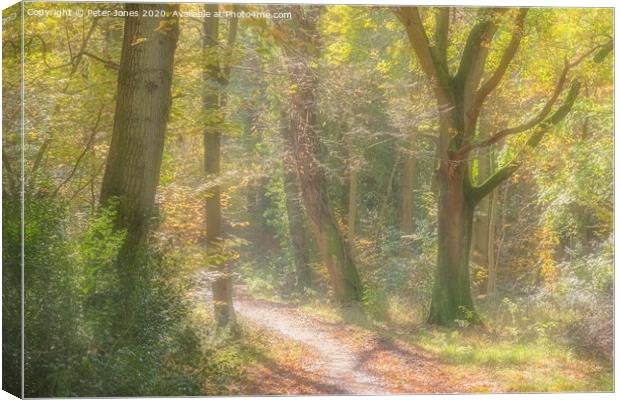 Autumn woodland path. Canvas Print by Peter Jones