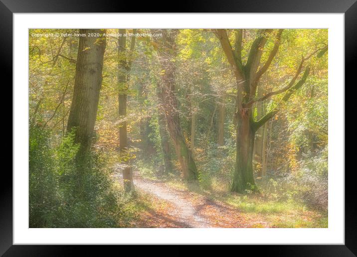 Autumn woodland path. Framed Mounted Print by Peter Jones