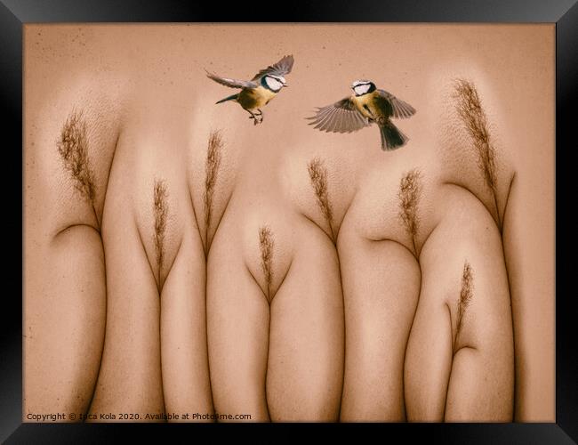 A Bird In The Hand Is Worth Two In The Bush Framed Print by Inca Kala