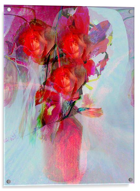 roses are red Acrylic by joseph finlow canvas and prints