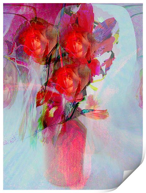 roses are red Print by joseph finlow canvas and prints