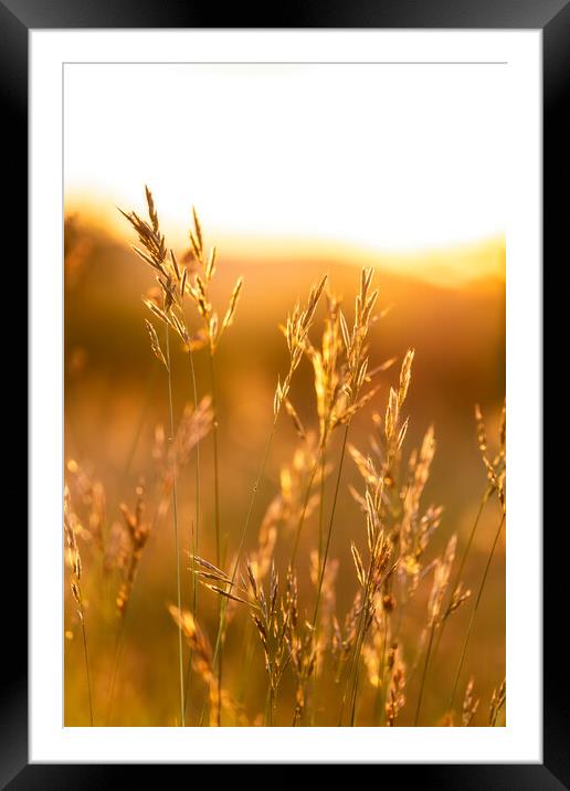 Outdoor field Framed Mounted Print by Arpad Radoczy
