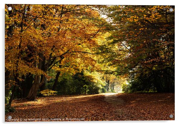 Autumn Woodland at Wentworth Woodhouse  Acrylic by Joy Newbould
