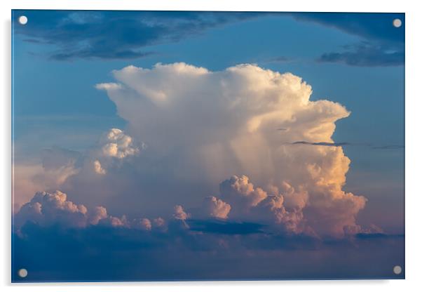 Beautiful cumulus stormy clouds with sunset light Acrylic by Arpad Radoczy