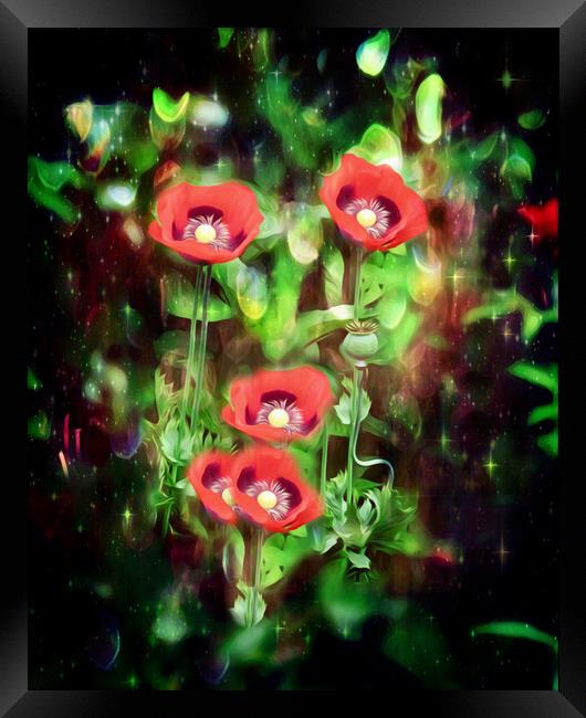 Fiery Scarlet Beauty Framed Print by Beryl Curran