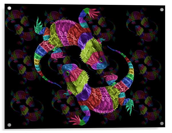 Rainbow Lizards Acrylic by Susie Hawkins