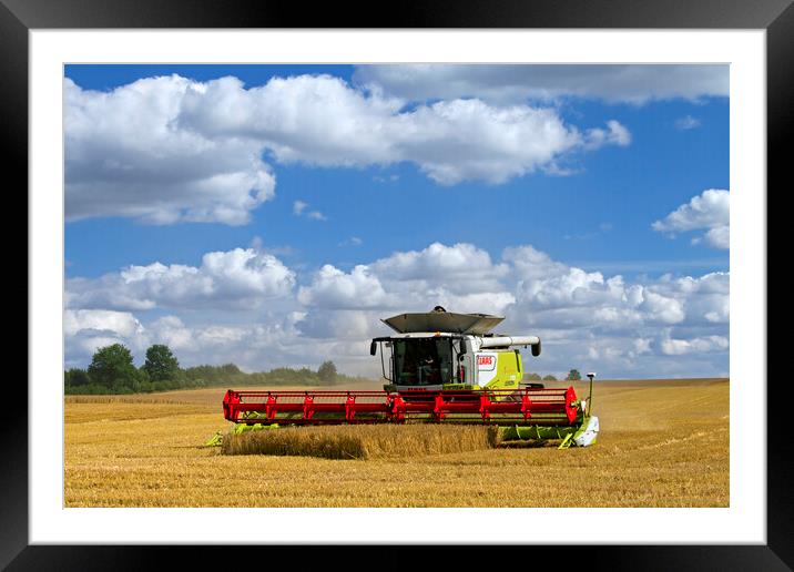 Combine Harvester in Cornfield Framed Mounted Print by Arterra 
