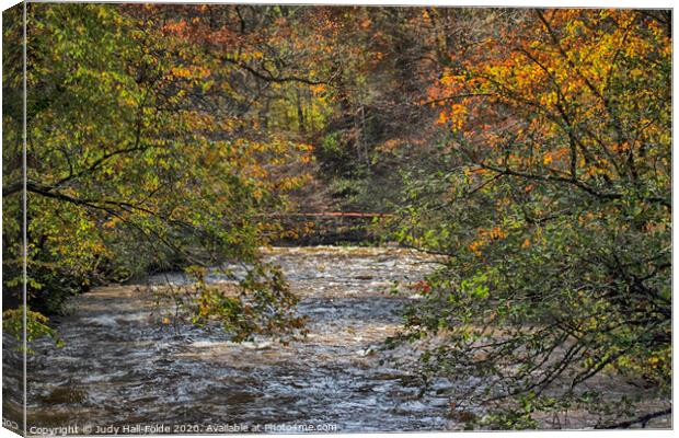 Autumn Trees over the River Canvas Print by Judy Hall-Folde