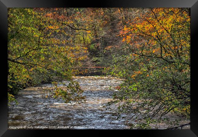 Autumn Trees over the River Framed Print by Judy Hall-Folde