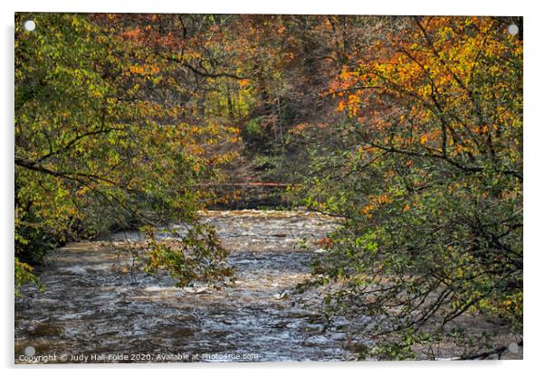Autumn Trees over the River Acrylic by Judy Hall-Folde