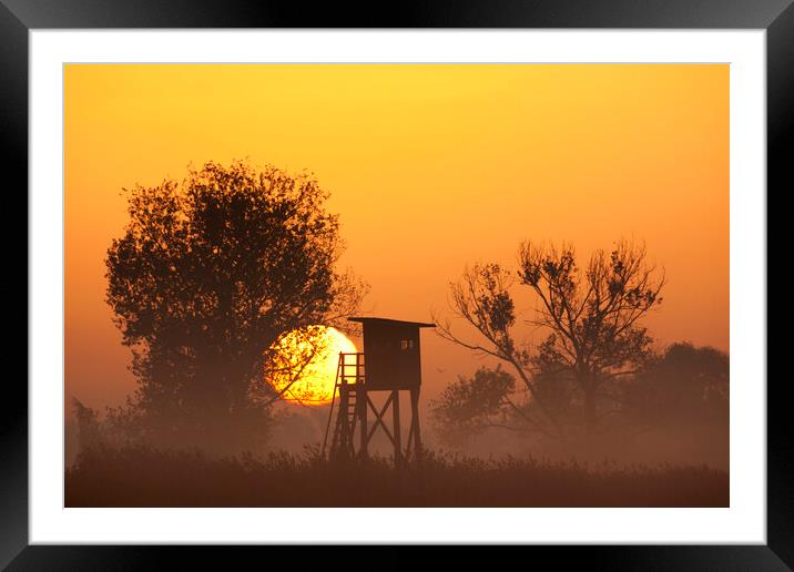 Raised Hunting Stand at Sunrise Framed Mounted Print by Arterra 