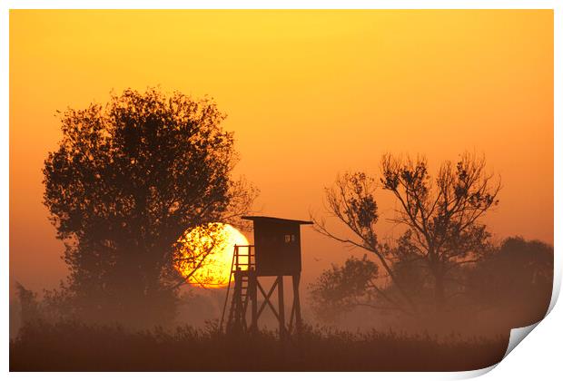 Raised Hunting Stand at Sunrise Print by Arterra 