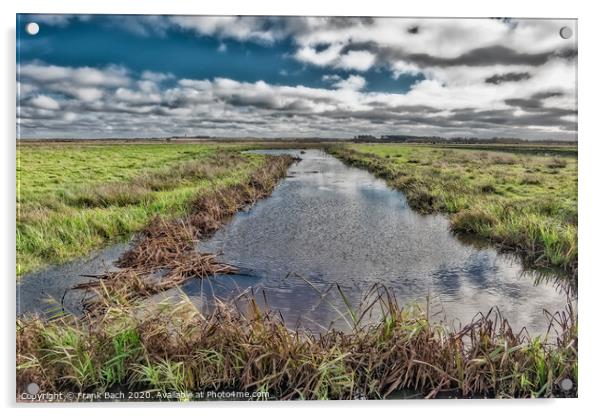 Wetlands meadows near Skjern in Denmark Acrylic by Frank Bach