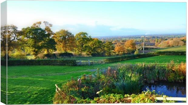 A view of a lush green field in Burwardsley Canvas Print by sue davies