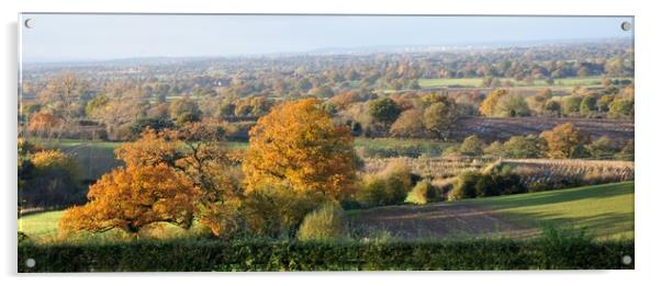 A view in Burwardsley Cheshire Acrylic by sue davies