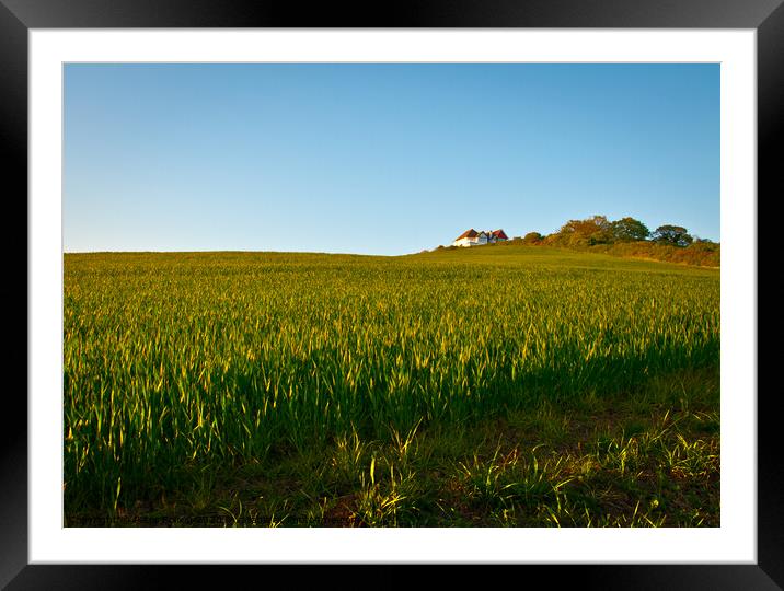 Looking up a hill and wheat field towards a White House and a copse at Leigh on Sea, Essex, UK. Framed Mounted Print by Peter Bolton