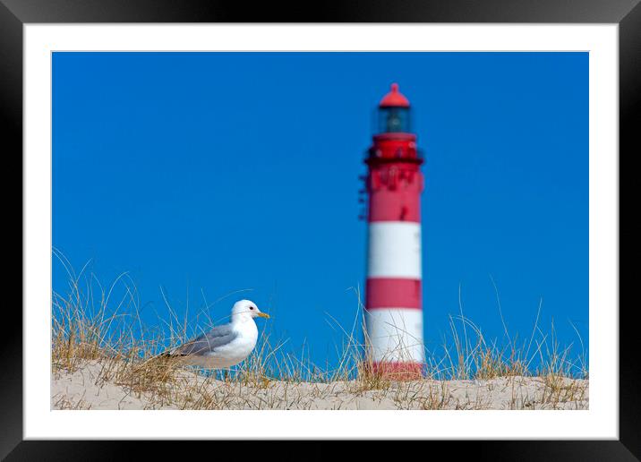 Gull and Amrum Lighthouse Framed Mounted Print by Arterra 