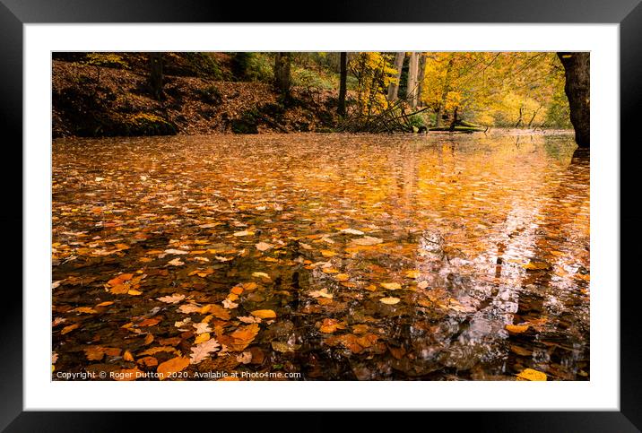 Cascading Autumn Pools Framed Mounted Print by Roger Dutton