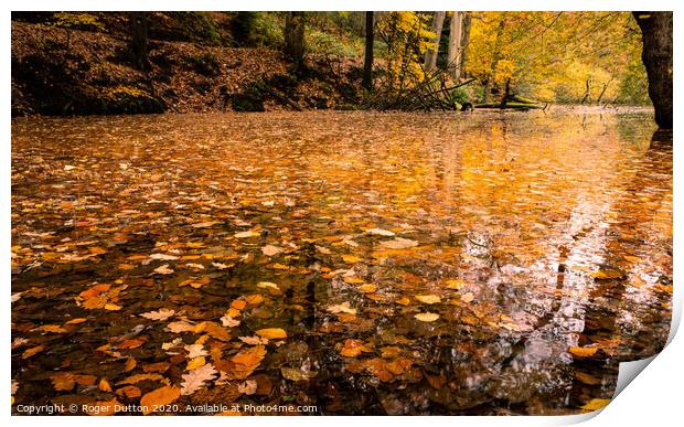 Cascading Autumn Pools Print by Roger Dutton