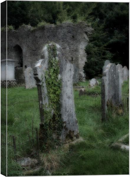 Tombstones in a disused graveyard at Buckfastleigh, Devon, UK Canvas Print by Peter Bolton