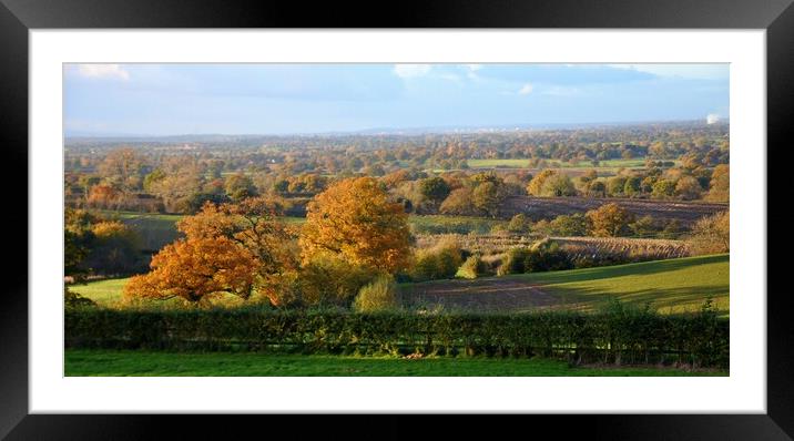 A view of a lush green field in Burwardsley Framed Mounted Print by sue davies